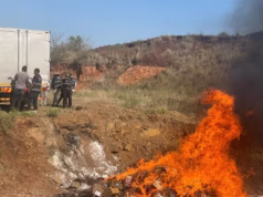 SERNIC incinera nais de 1,3 tonelada de fentanil apreendida em Maputo