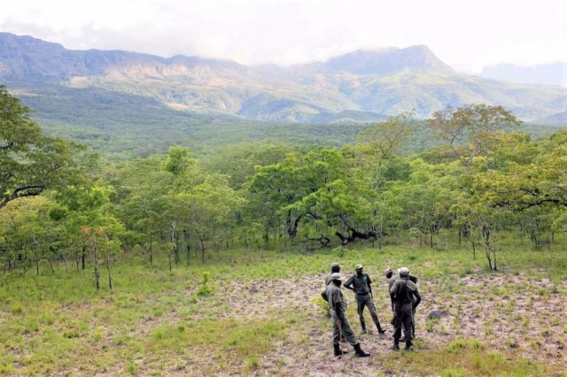 Manica-enfrenta-devastacao-florestal-com-queimadas-descontroladas.avif.avif